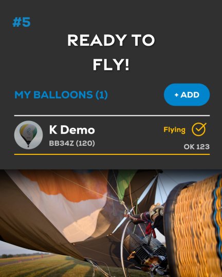 Add Balloon (6)